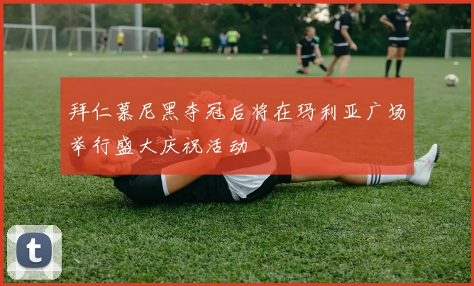 拜仁慕尼黑夺冠后将在玛利亚广场举行盛大庆祝活动