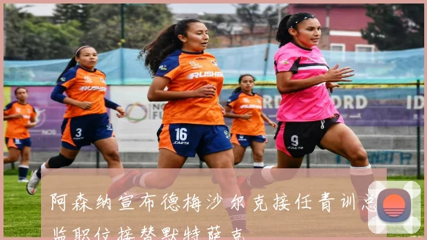 阿森纳宣布德梅沙尔克接任青训总监职位接替默特萨克