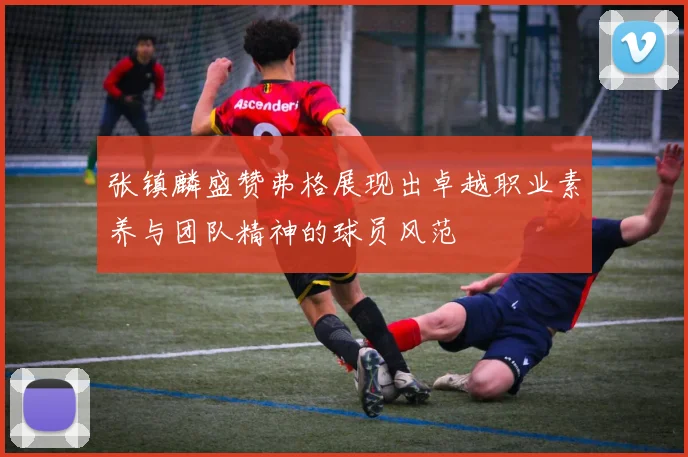 张镇麟盛赞弗格展现出卓越职业素养与团队精神的球员风范