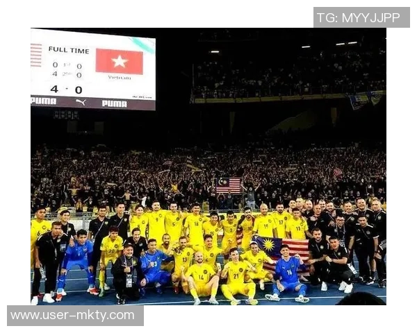 七名归化球员起诉马来西亚足协索赔因违规禁赛一年事件引发关注