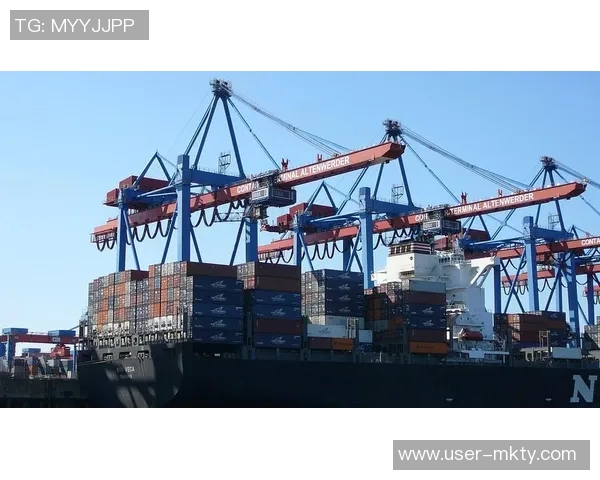 海港俱乐部关注杨希引援动态徐彬留洋前景复杂需谨慎评估